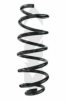 SPIDAN 87052 Coil Spring